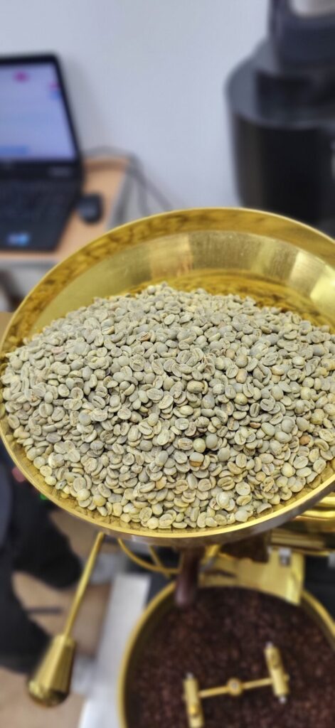 zielone ziarna kawy przed wypaleniem